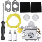 Complete Carburetor Kit for 25CC 30CC 46CC Trimmer (C1UH60)