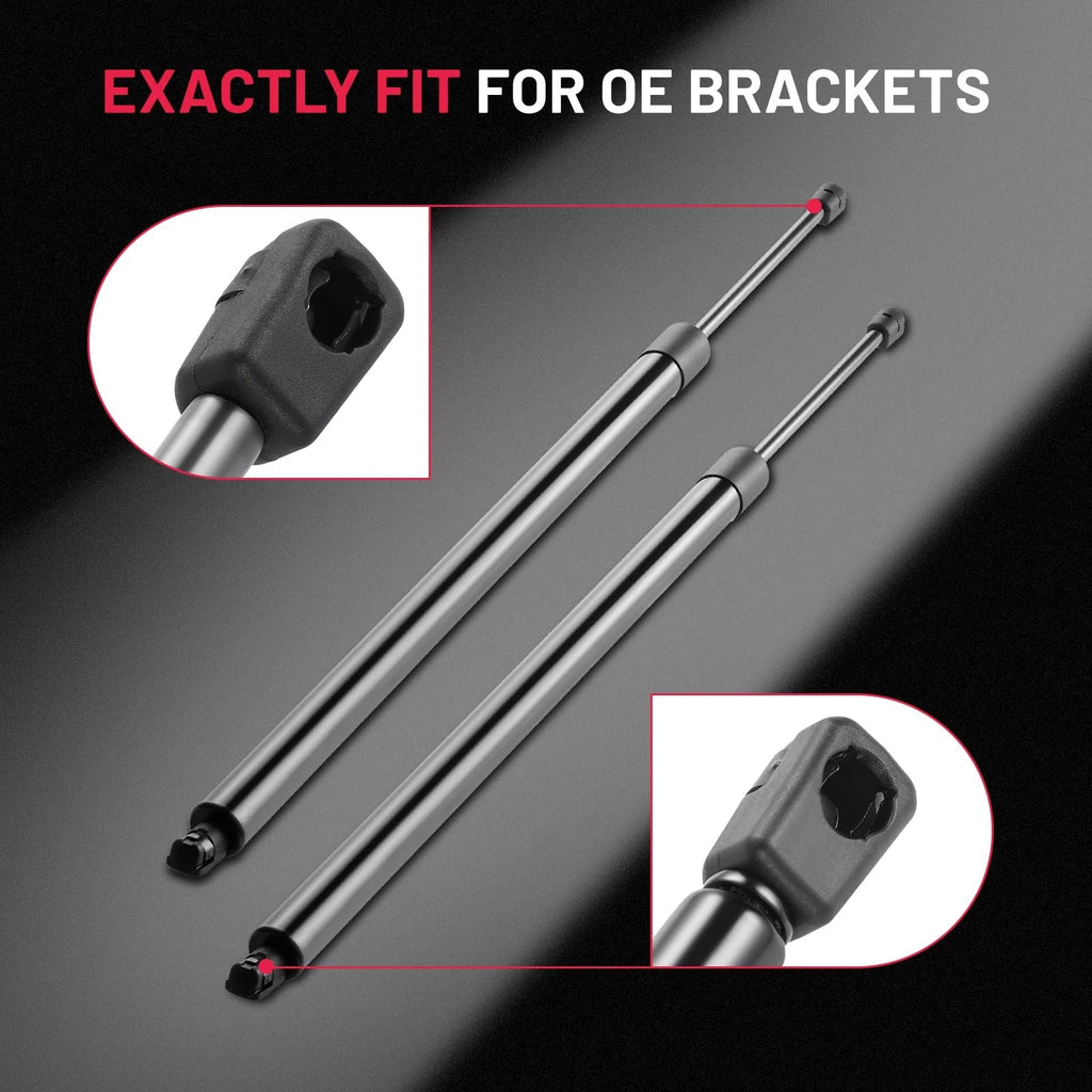 Rear Hatch Lift Supports Shock Struts for 2005–2010 Honda Odyssey (3.5L)