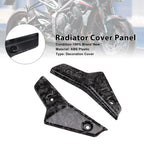 Radiator Side Cover Fairing Panels for Street Triple 765 R/RS (2020–2022)