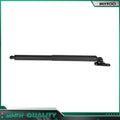 Liftgate LH with Remote Control Lift Support Strut for Mercedes-Benz X164 (2007–2012)