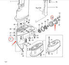 Lower Casing W Cap for Tohatsu Outboard Motor M9.9D M15D M18e T18 (2T)