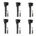 Set of 6 Ignition Coils & Spark Plugs for F-150 Navigator (V6)