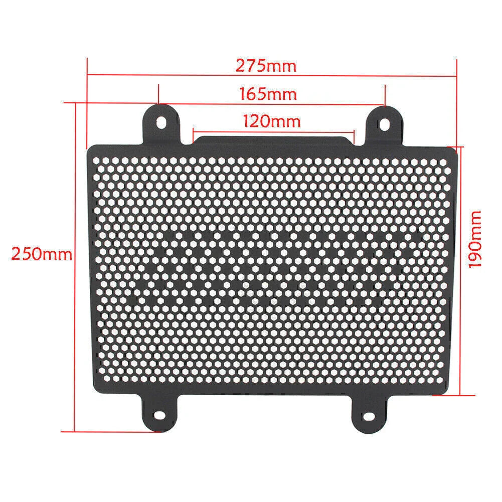 Radiator Grill Guard Cover for BMW G310R G310GS (2017-2018)