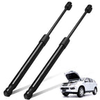 2PCS Rear Hatch Gas Springs Struts for Scion tC (2005–2010)