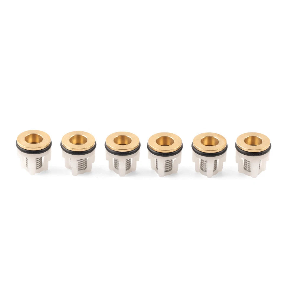 Check Valve Kit 42123 for Annovi Reverberi RMW RMV SRMV