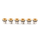 Check Valve Kit 42123 for Annovi Reverberi RMW RMV SRMV