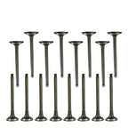 Exhaust and Intake Valves for Hyundai Accent Kia Rio (1996–2011)