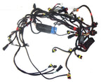 Evinrude Etec Engine Wiring Harness Assy 0587009 for 115-130HP (2009–2012)