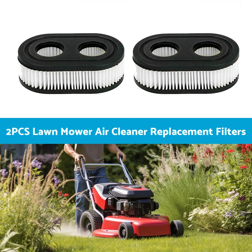 Air Cleaner Filter for 4247, 5432, 5432K (593260, 798452, 334404)