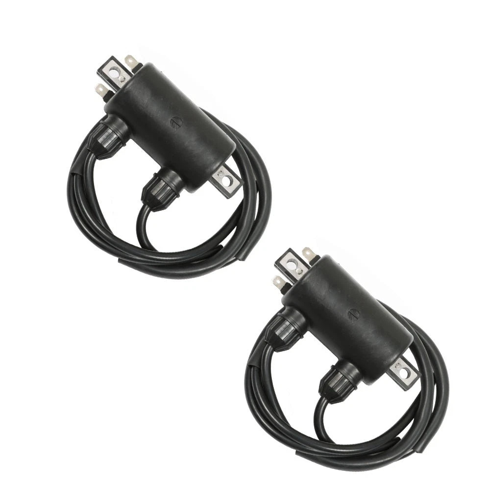 2X Ignition Coils for Honda Shadow VT750C VT800C (1983â1988)