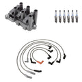 Denso Ignition Coil Wires & 6 Platinum Spark Plugs Kit for E-150 F-150 (1997–2003)