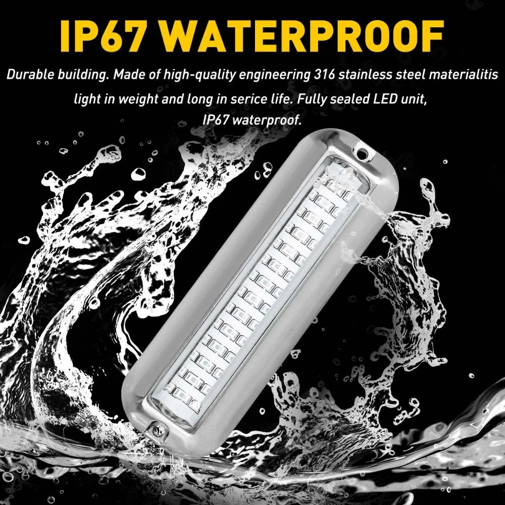 Underwater Marine Transom Lights for Pontoon (316 Stainless Steel)