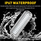 Underwater Marine Transom Lights for Pontoon (316 Stainless Steel)