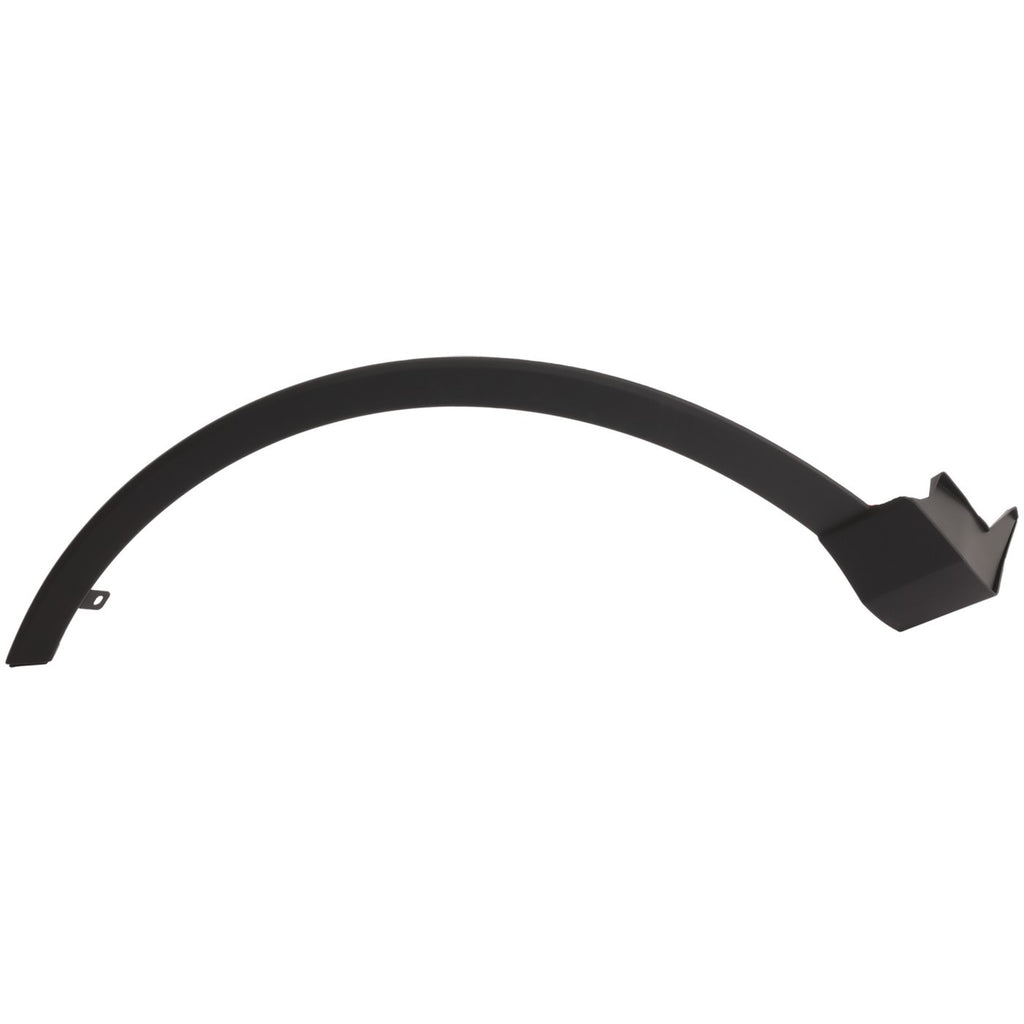 Fender Trim Molding for RAV4