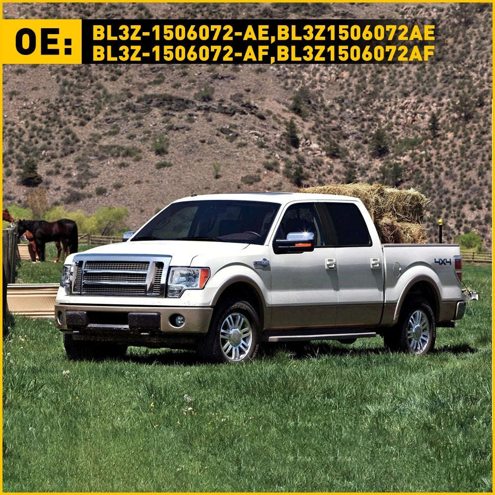 Door Sill Plate Protector for Toyota