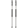 Liftgate Lift Supports Set of 2 for BMW 325, 323, 325i