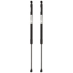 Liftgate Lift Supports Set of 2 for BMW 325, 323, 325i