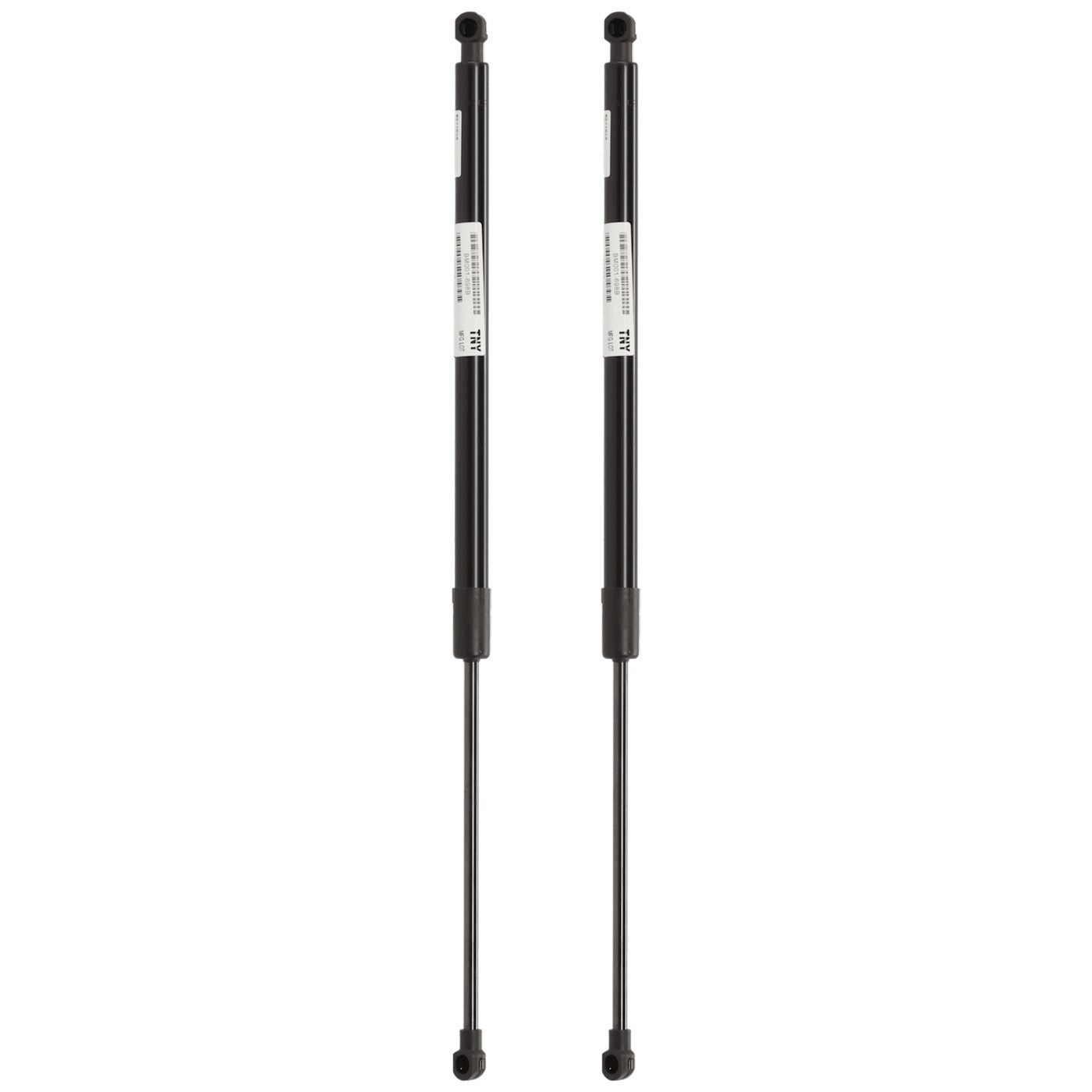 Liftgate Lift Supports Set of 2 for BMW 325, 323, 325i