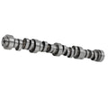 Stage 2 Camshaft for Chevy LS LS1 (1997–2004)