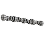 Stage 2 Camshaft for Chevy LS LS1 (1997–2004)