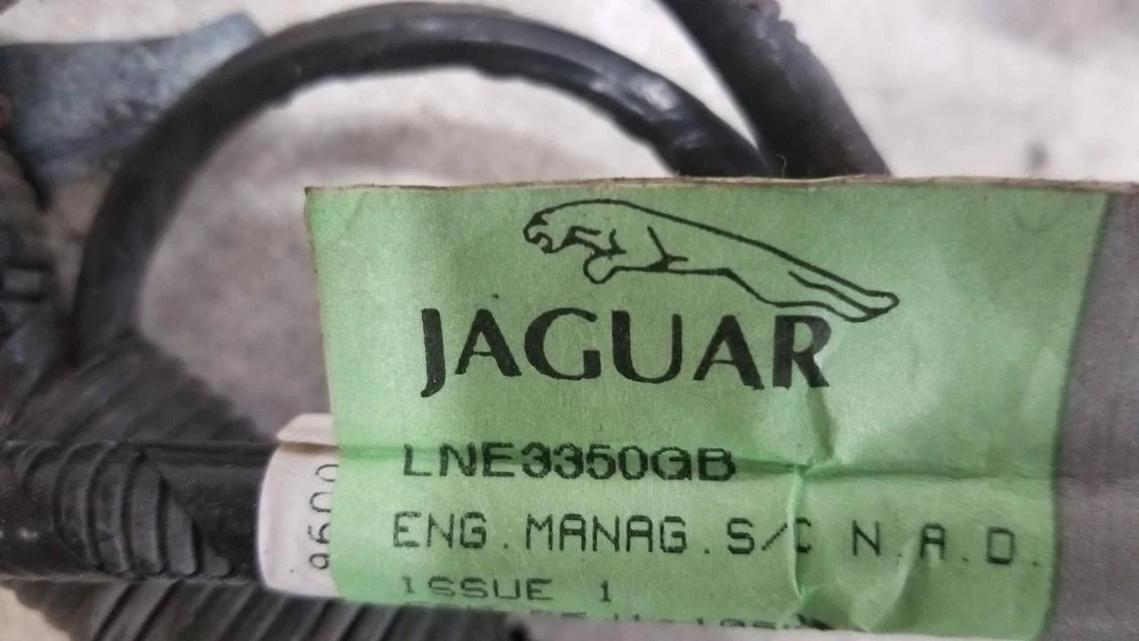 Engine Bay Management Harness LNE3350GB for Jaguar XJR (1999)