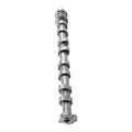 Exhaust Camshaft for Hyundai Elantra, Kona & Kia Forte 2.0L (2017–2021) 24200-2E074