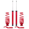 2X Rear Coilovers Lowering Kit for VW Golf MK4 (1998–2007), AUDI A3 (8L) (1996–2003)