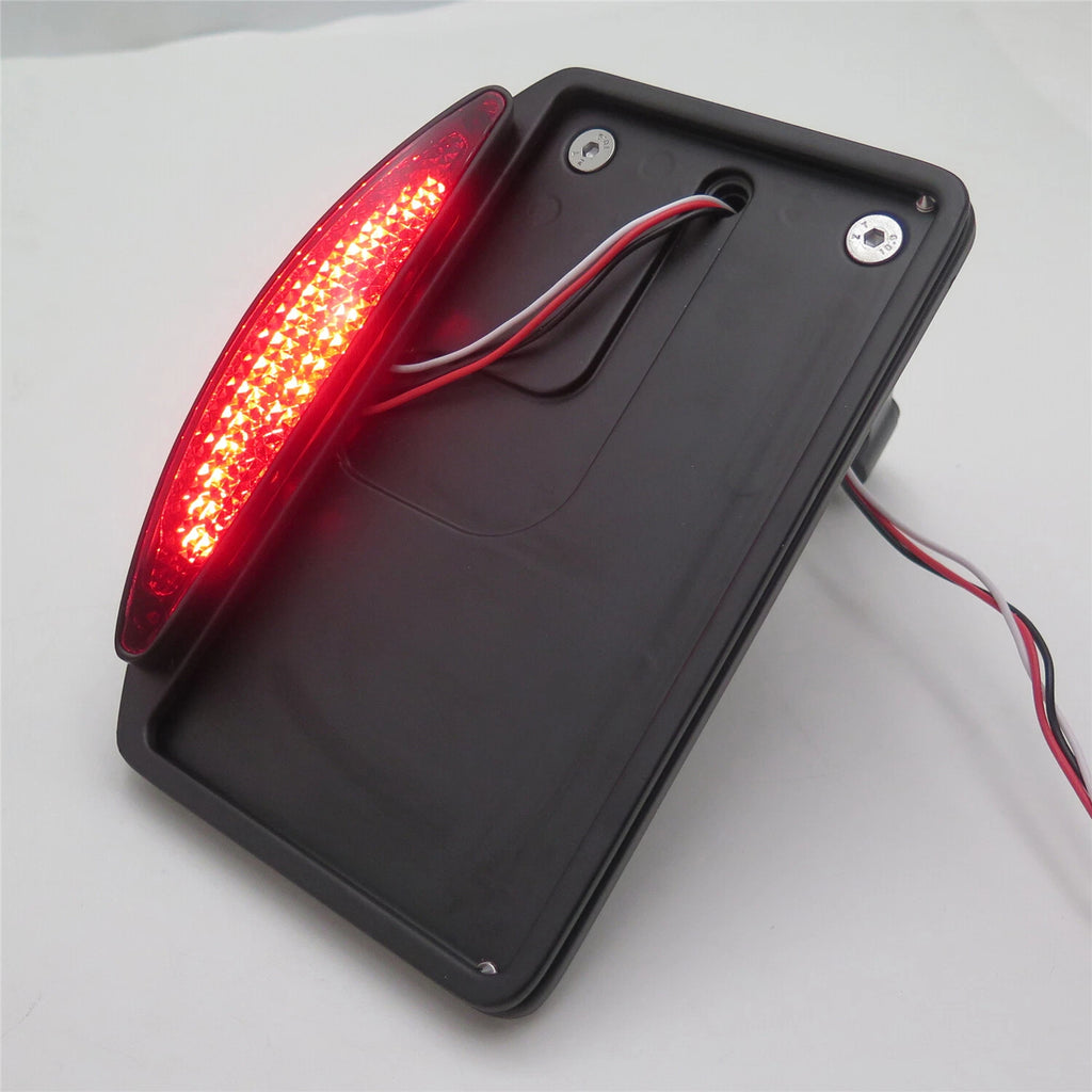 License Plate Bracket with LED for Harley Davidson Dyna Glide (2006–2021)