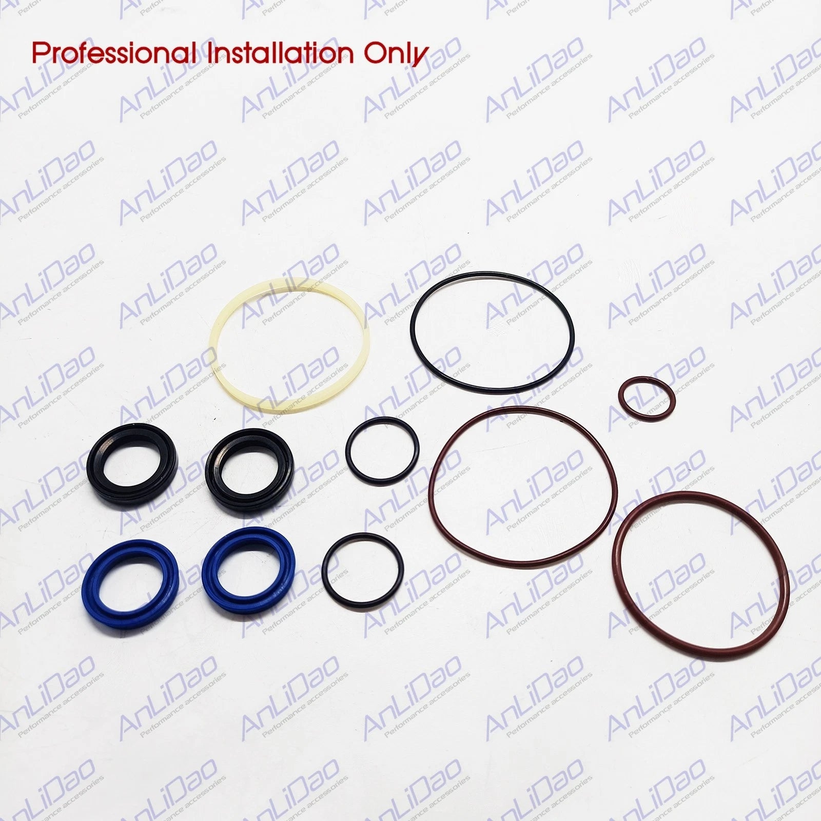 Trim Piston Repair Seal Kit for Evinrude ETEC 75HP-115HP (2006–2020) 5008985