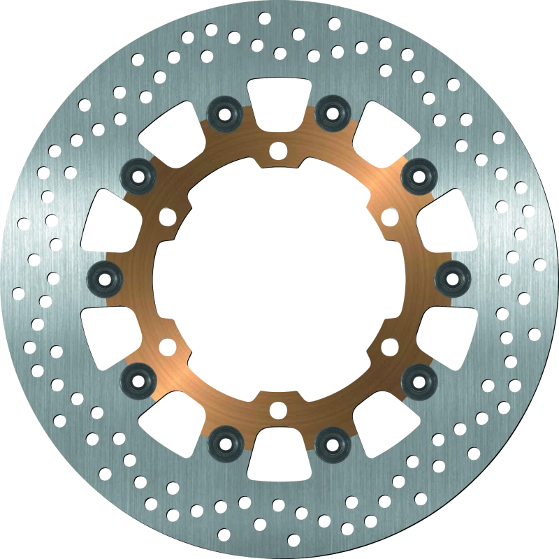 BikeMaster Brake Rotor for Yamaha FJR1300ES & V-Max (2014–2018)