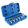 13pc Chrome Star Socket Set for CRV 1/4 3/8 1/2 Drive T8-T70