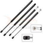 Set of 4 Lift Supports for Ford Expedition (1997–2002)