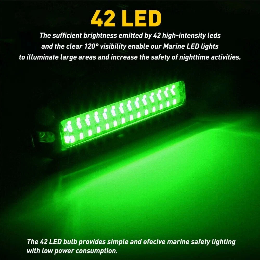 Underwater Marine Transom Lights for Pontoon (316 Stainless Steel)