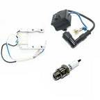 Magneto Stator Coil Spark Plug for 48cc 70cc 80cc Motorized Bicycle Engine