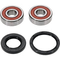 Pivot Works Wheel Bearing for