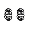 Set of 2 Rear Coil Springs for BMW E46 323Ci 325Ci 325Xi 330Ci (1998–2006)