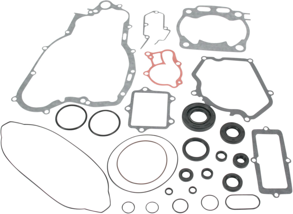 Motor Gasket Kit with Oil Seal for Yamaha (811670MSE)