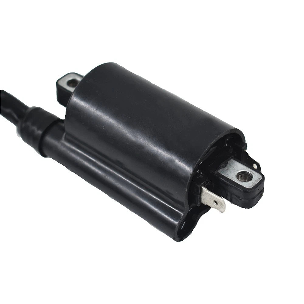 Set of 2 Ignition Coils for Kawasaki EX500 Ninja 500 500R (1987–2009)