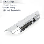 Exterior Door Tailgate Handle with Key Hole for Toyota (No. 690900K120)