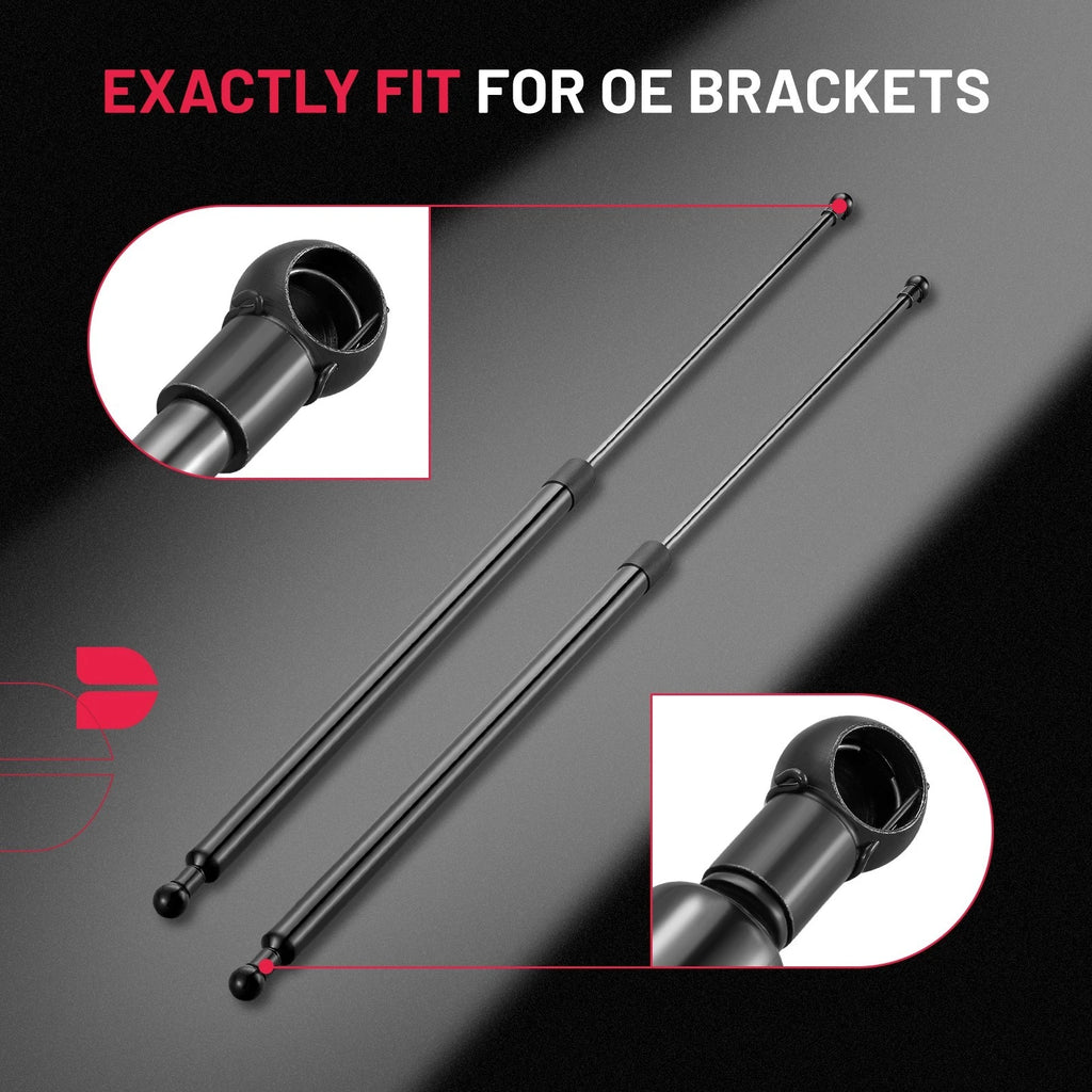 Gas Struts for Truck Topper Toolbox Canopy for 36 in 249 lb (2019–2020)