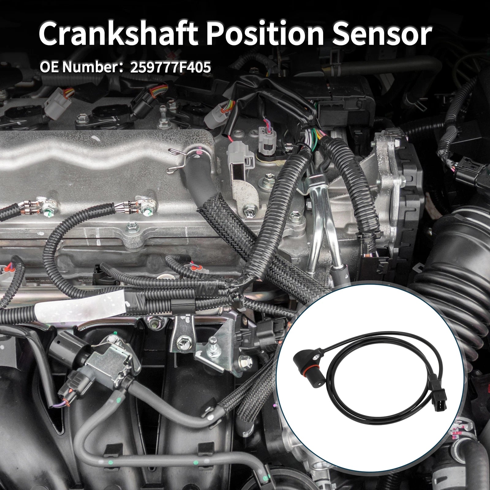 Crankshaft Position Sensor for Nissan Terrano 2.7TD 4WD (1993–2002) No. 259777F405