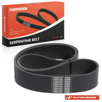 Serpentine Belt for Ford LA9000 (1997)