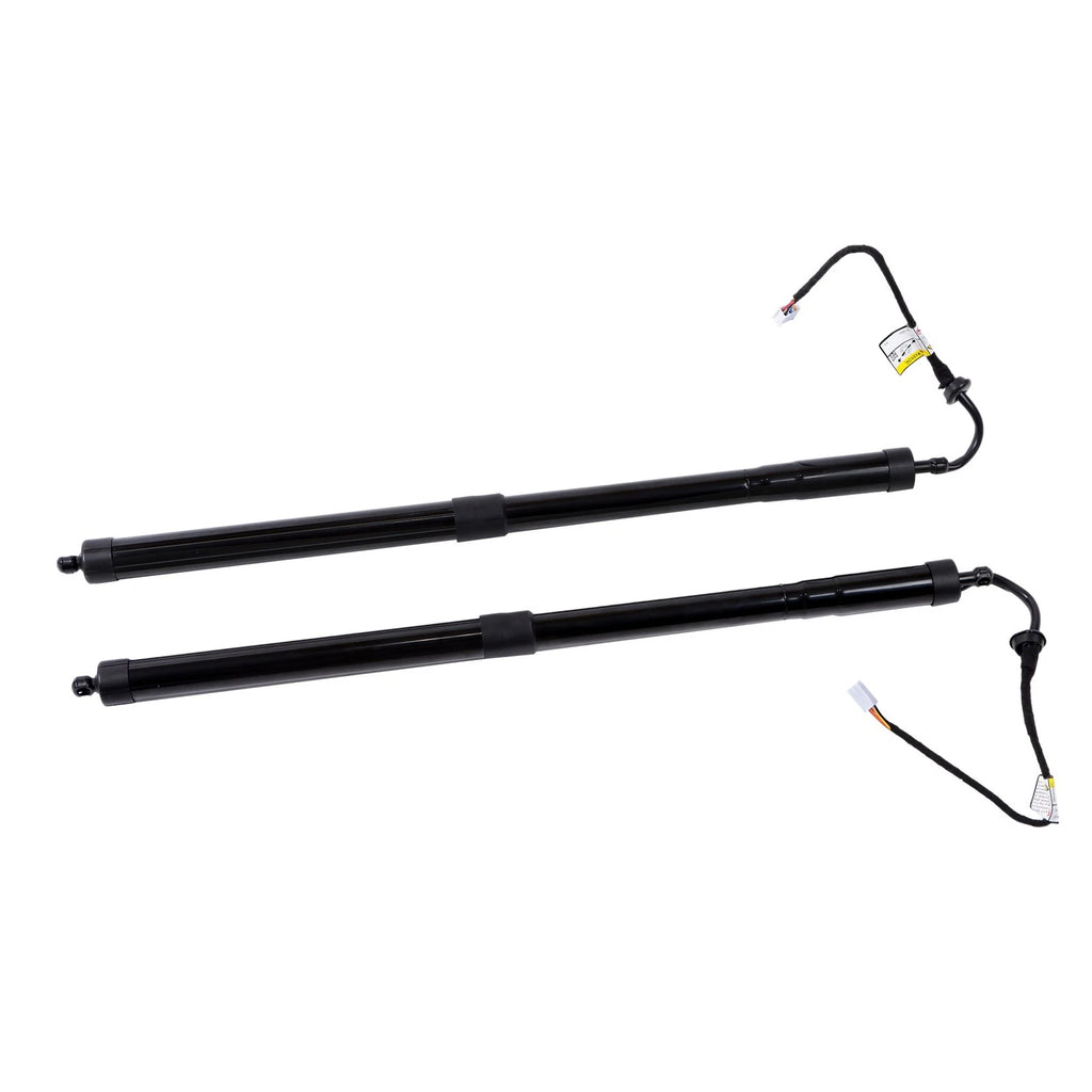 Tailgate Support Bar Set for Lexus RX350 RX450h (2016–2019)