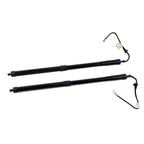 Tailgate Support Bar Set for Lexus RX350 RX450h (2016–2019)