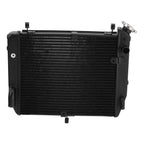Radiator Cooler for Yamaha YZF R1 (2002–2003)