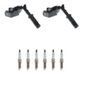 Set of 2 Ignition Coils & 6 Bosch Iridium Spark Plugs for