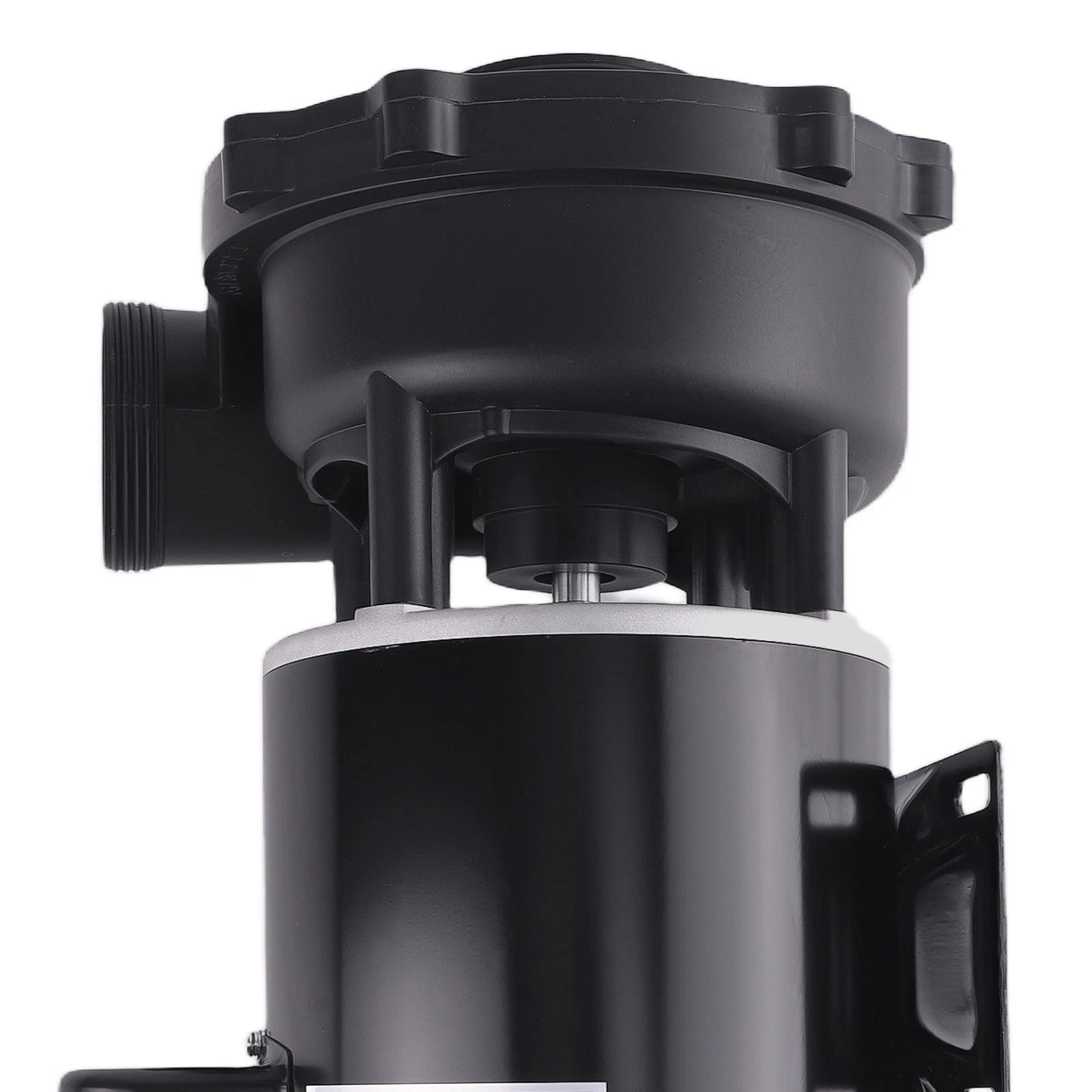 Dual-Speed Spa Pump Motor for Spa (230V, 56 Frame)