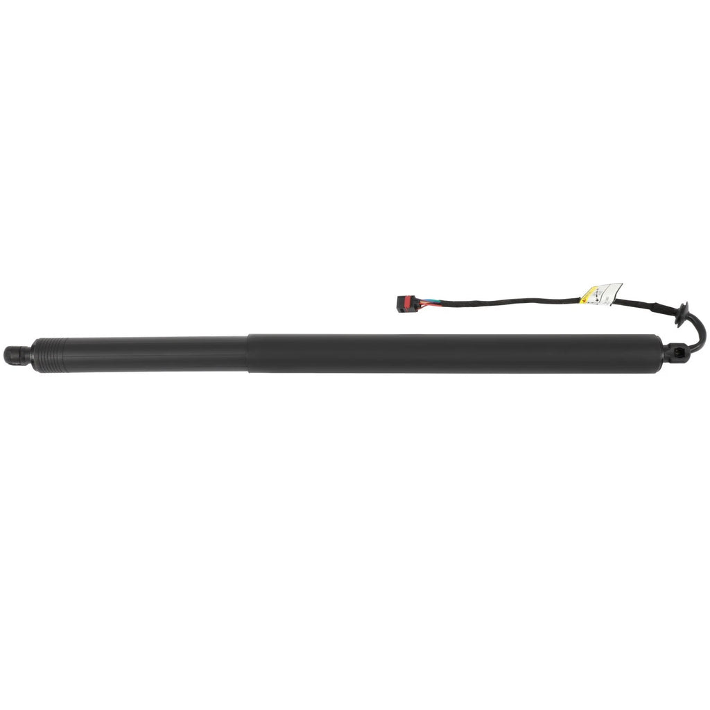 Rear Liftgate Lift Support Strut for Range Rover Velar (2017–2022)