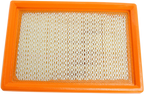 HIFLOFILTRO Air Filter for Aprilia Moto Guzzi (HFA6101)