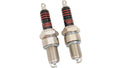 2X Spark Plugs DCPR7E for Harley Twin Cam Models (1999–2017)